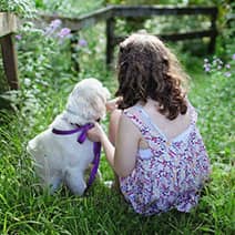 Psihologie Canina in Bucuresti